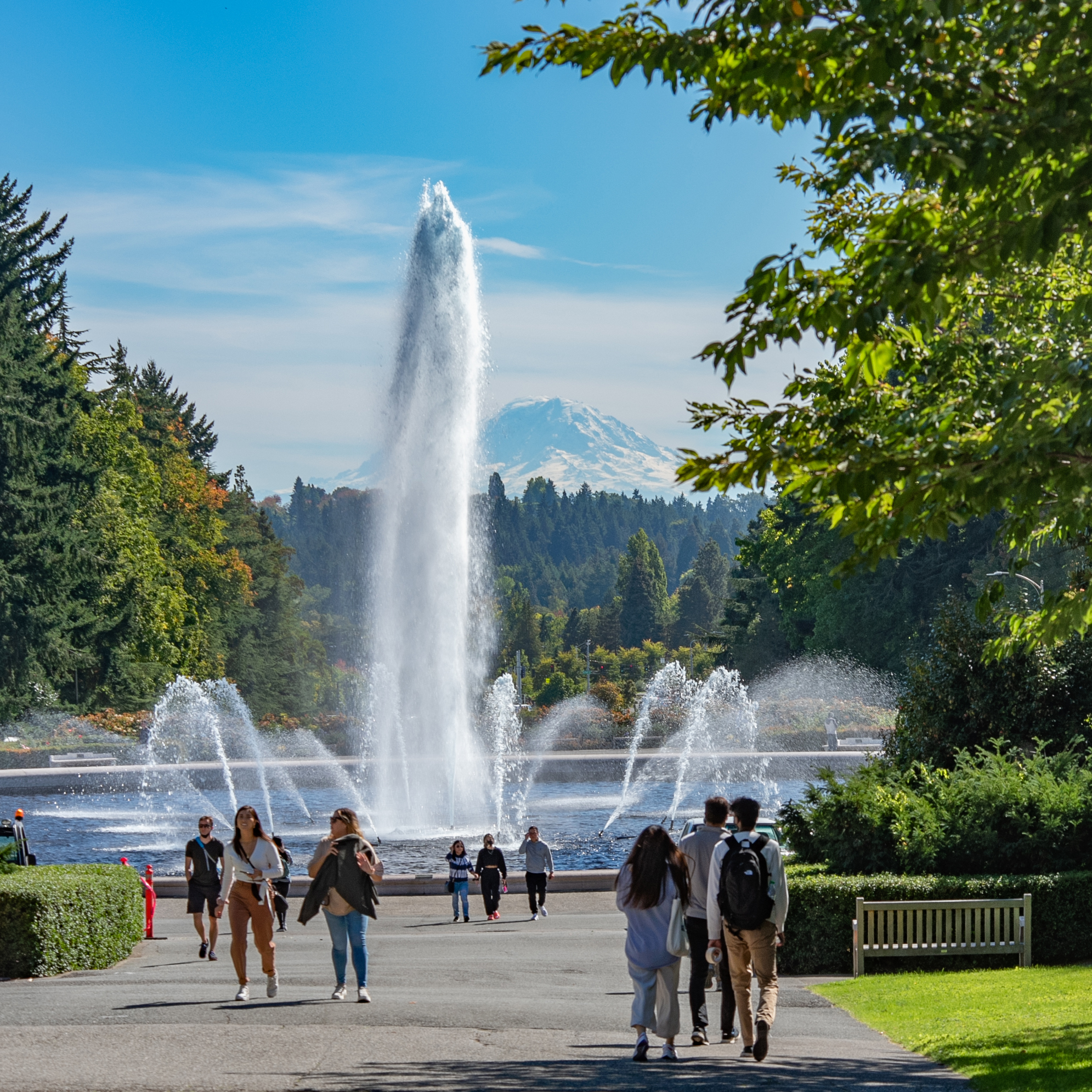 University of Washington campus pictured during summer
