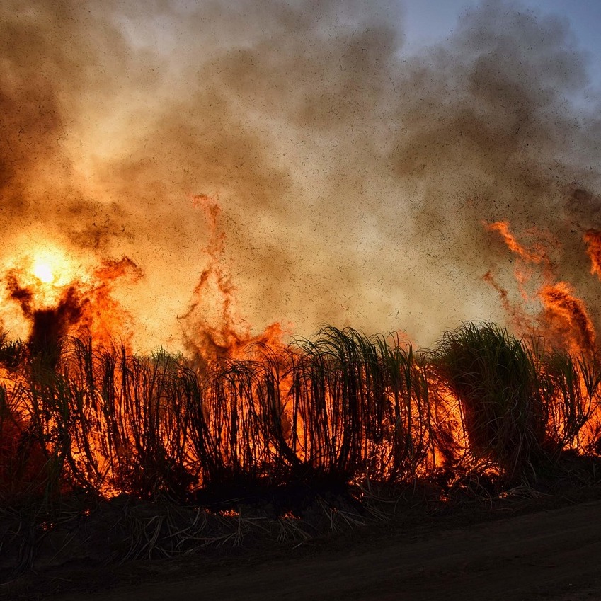 A wildfire burns grasses at the side of a road