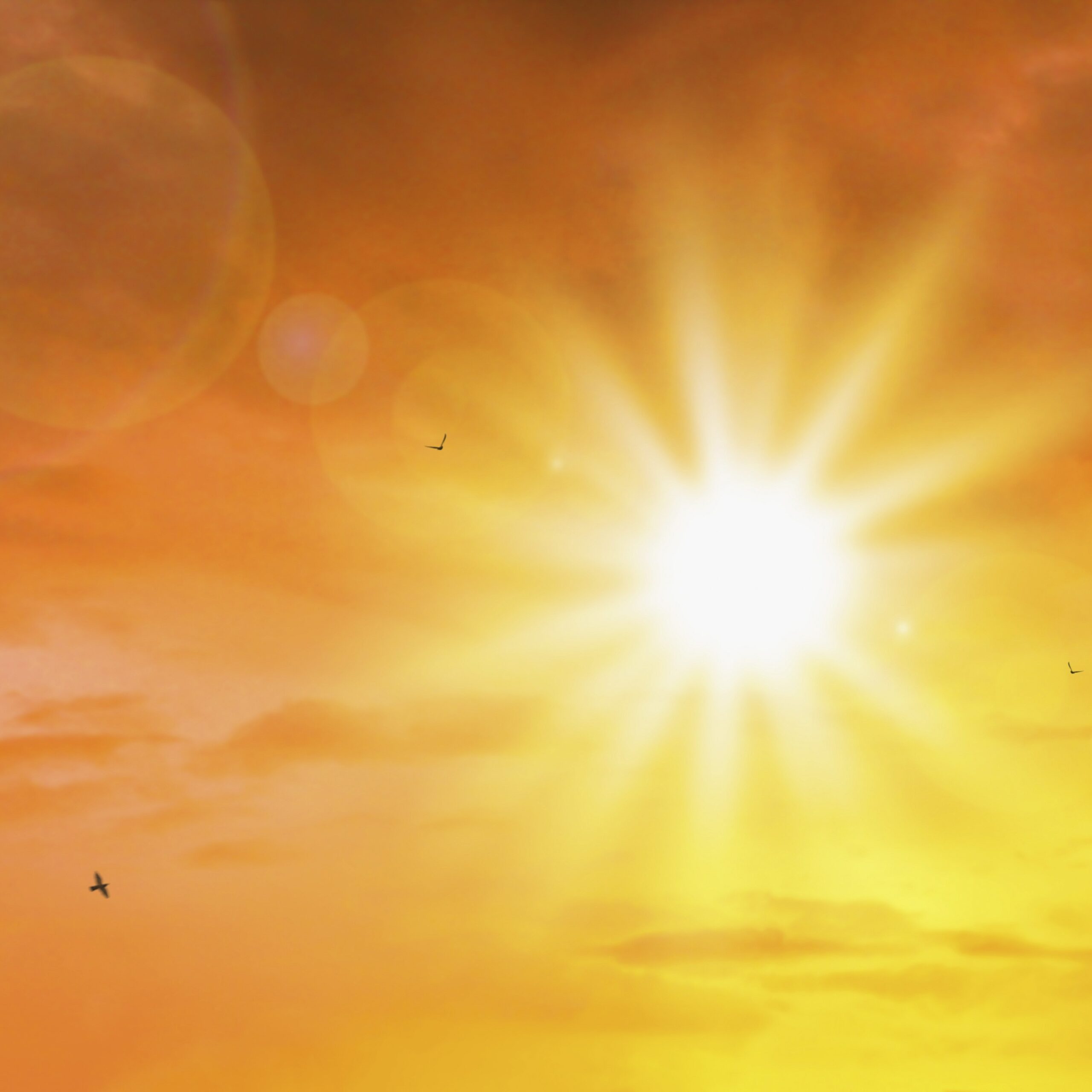 An extreme sun and sky background, with three birds flying in the sky